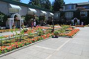 110 - Butchard Gardens  - IMG_1729